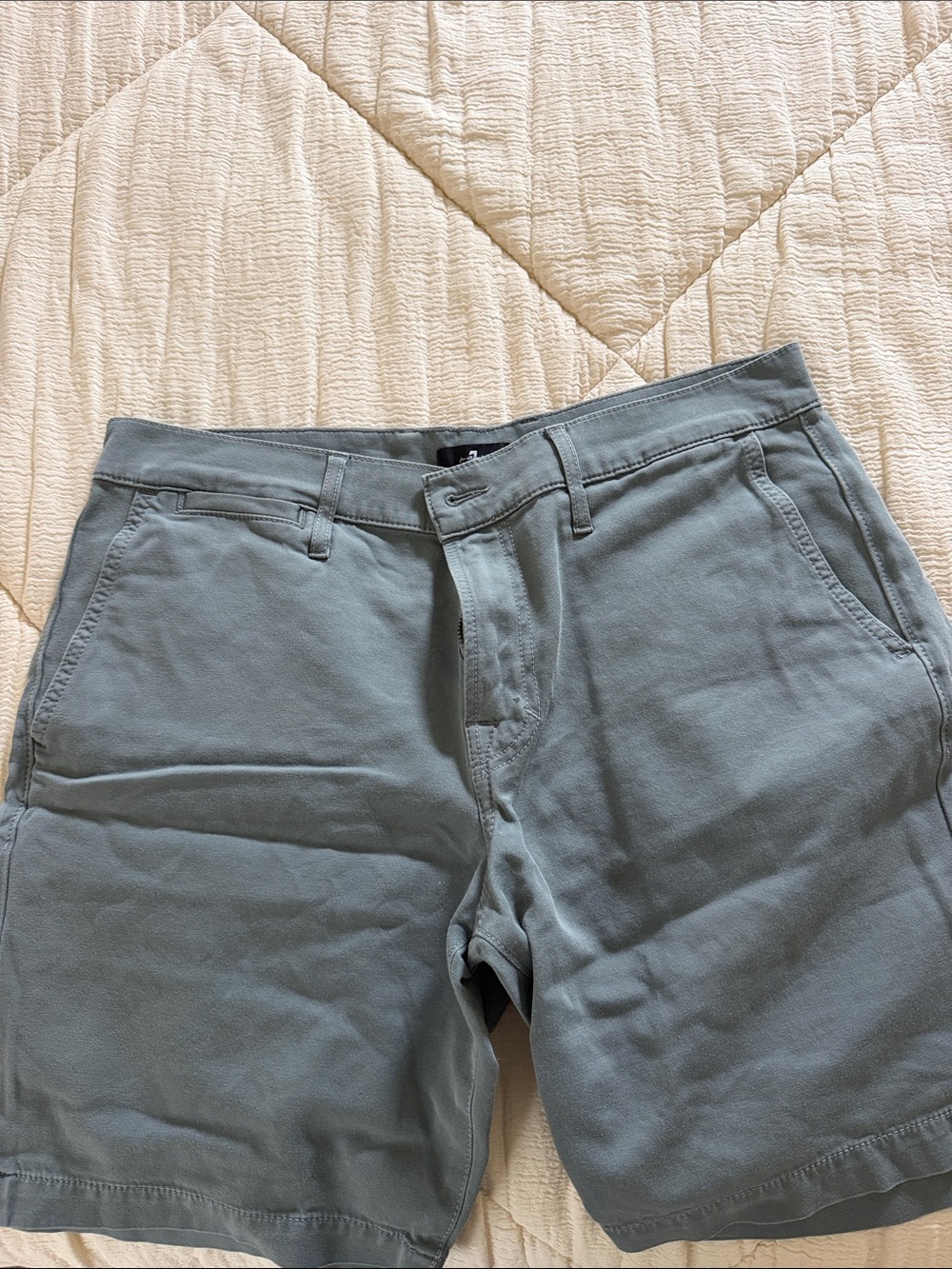 7 For All Mankind Men's Slate Green Shorts